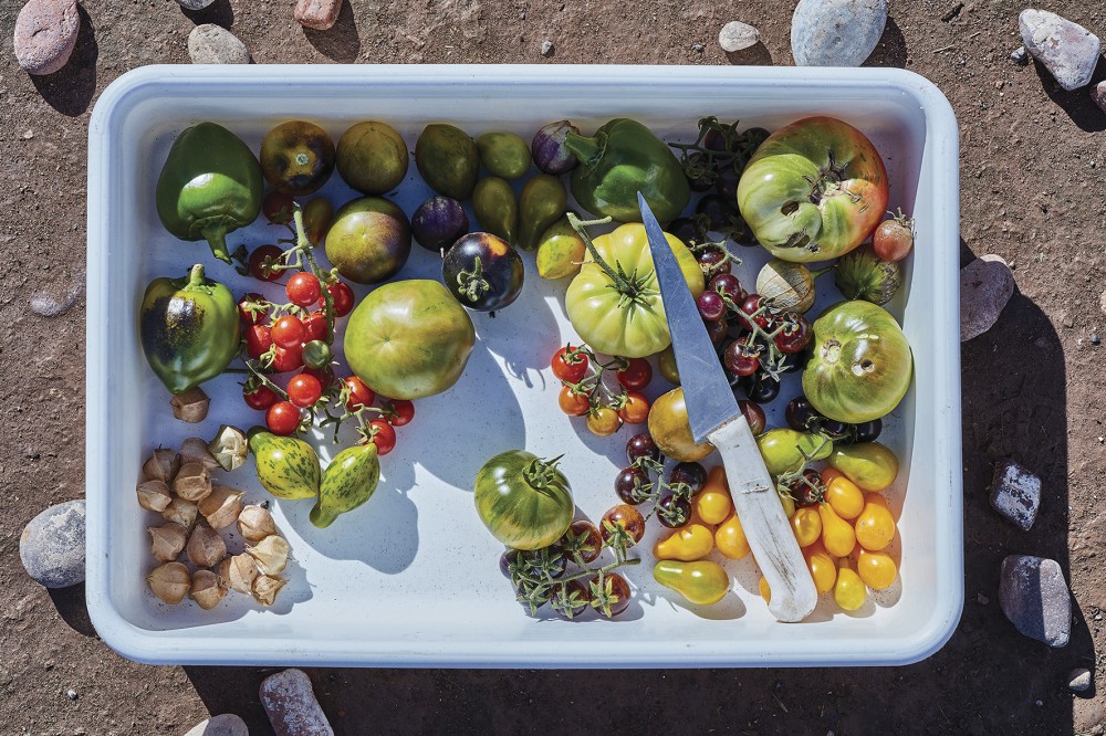 Ruca Malen huerta image